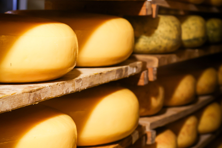 Martina Franca: Masseria Tour with Pasta & Mozzarella Class