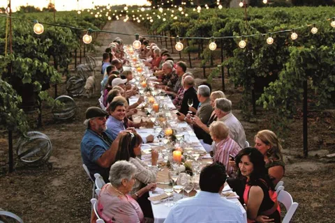 Florence : Visite des vignobles du Chianti avec dégustation de vins et dîner