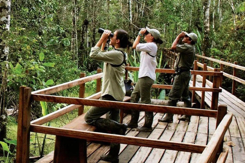Manu: 8-Day Amazon Wildlife & Jungle Expedition