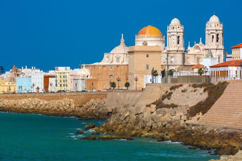 From Conil/Sancti Petri: Excursion to Jerez de la Frontera and Cádiz From Conil/Sancti Petri: Excursion to Jerez de la Frontera and Cádiz (ENG)