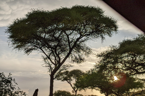 Arusha: Tagestour zu den Stämmen der Hadzabe, Datoga und Mto wa MbuArusha: Tagestour zu den Stämmen der Mto wa Mbu, Hadzabe und Datoga