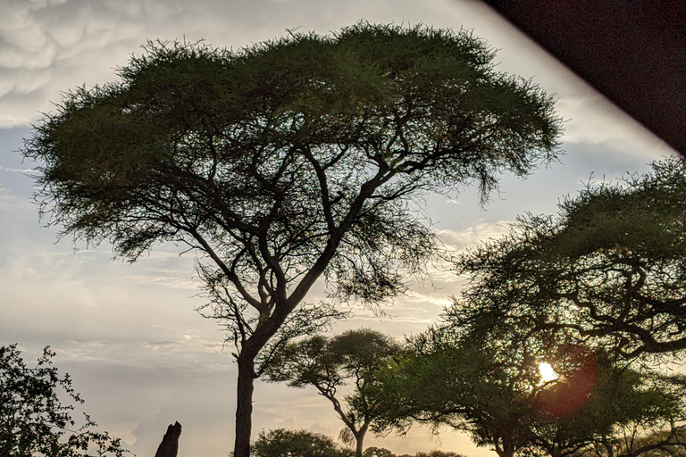 Arusha: Tagestour zu den Stämmen der Hadzabe, Datoga und Mto wa MbuArusha: Tagestour zu den Stämmen der Mto wa Mbu, Hadzabe und Datoga