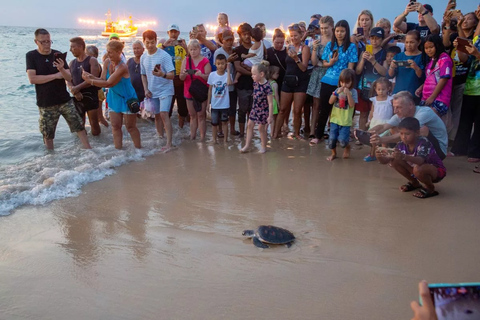 Khao Lak: Turtle Festival at Thai Muang, Mangroves & Temple