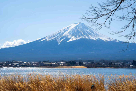 Mt Fuji Private Luxury Full-Day Tour with customization