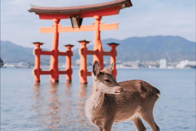 Kyoto & Osaka: Private Customizable Day Trip with Guide