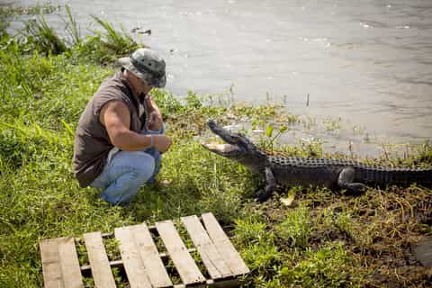 New Orleans Swamp & Bayou Boat Tour