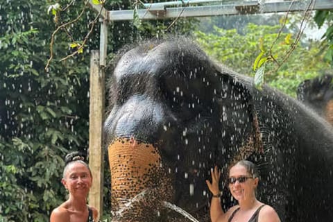 Jaipur: Asia's Elephant Village Experience with Transfer