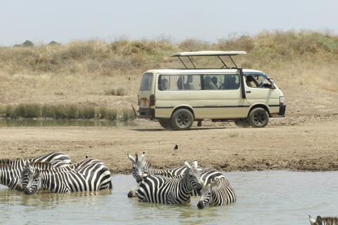 Private Nairobi National Park Drive in 4*4 landcruiser