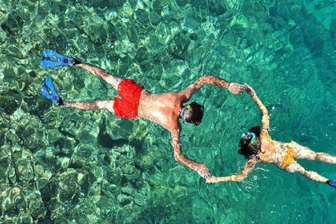 San Juan : Excursion dans la forêt tropicale d'El Yunque avec plongée en apnée