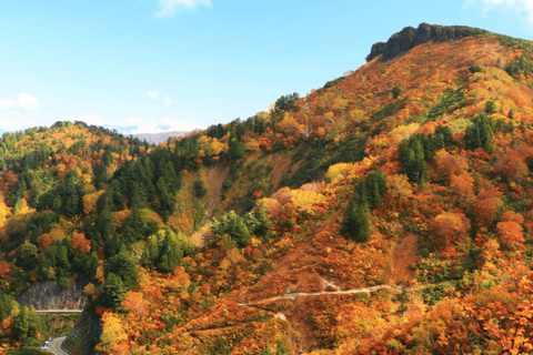 From Kanazawa: Hakusan White Road and Shirakawago Village