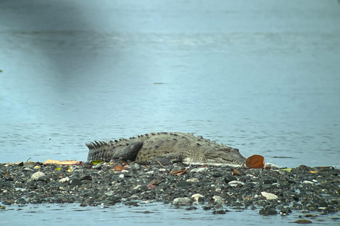 Puerto Jimenez: 2-Day Tour in Sirena Corcovado with La Leona Hike Puerto Jimenez: 2-Day Corcovado Boat Tour and 18km Walking Departure