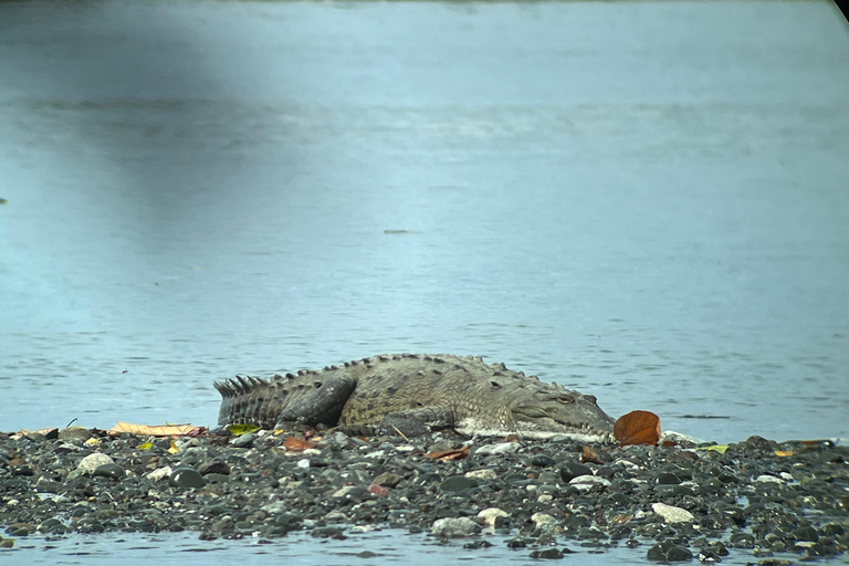 Puerto Jimenez: 2-Day Tour in Sirena Corcovado with La Leona Hike Puerto Jimenez: 2-Day Corcovado Boat Tour and 18km Walking Departure