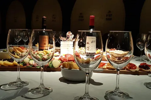 Tour della cantina Castillo Viejo e degustazione premium