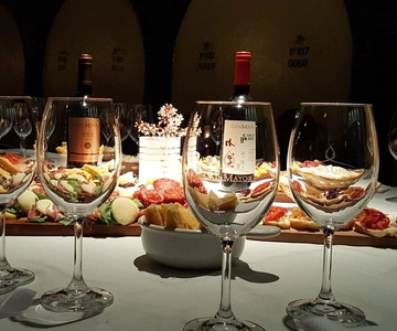 Castillo Viejo Winery Tour and Premium Tasting