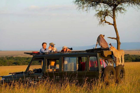 Majestic landscapes: A 5day Safari Adventure