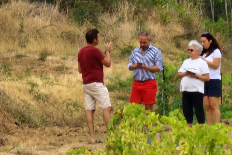 Alt emporda wine tasting with breakfast and lunch