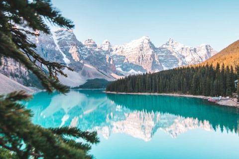 Banff: 1-Day Gondola, Lake Louise & Moraine Lake