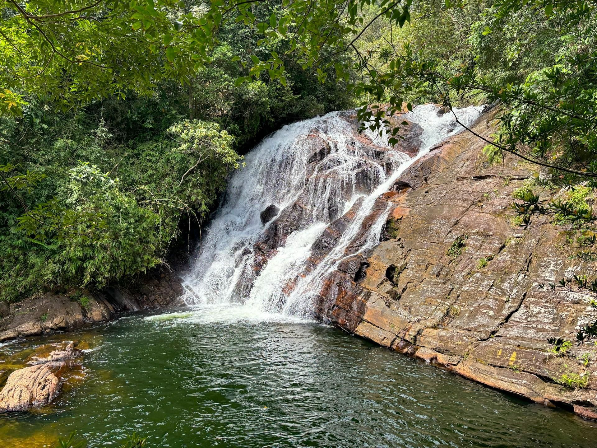 Sinharaja Regenwald: Naturtour mit ortskundigem Guide