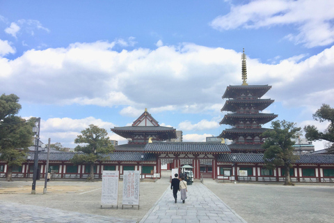 Osaka: En heldags Privat dagsutflykt med guidad stadsvandring i den historiska staden