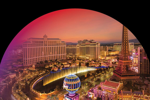 Las Vegas : Billet pour le survol de Las Vegas