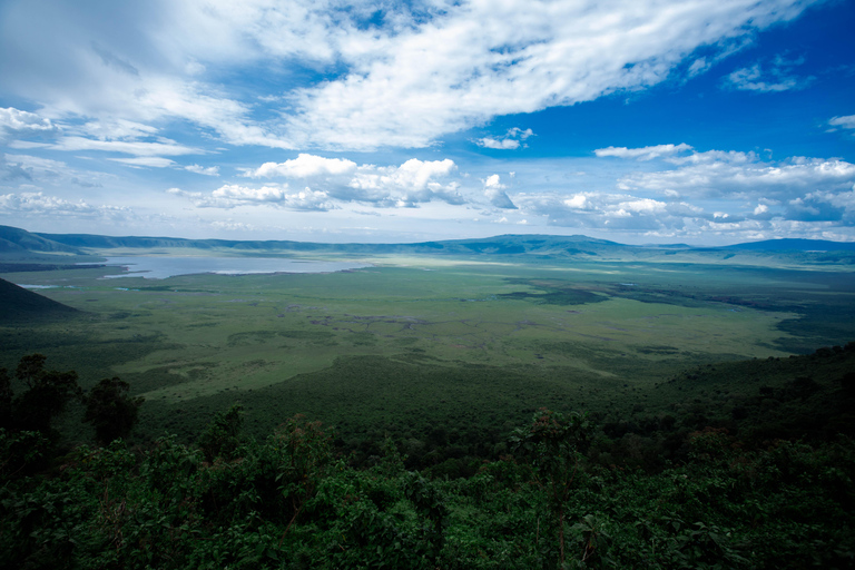 Arusha: Ngorongoro Game Drive - Wildlife & Conservation