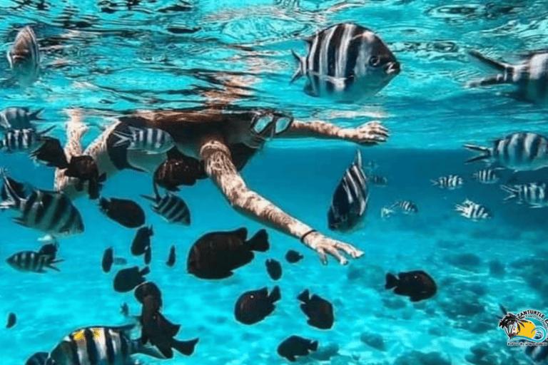 Zanzibar: Blue Lagoon with Snorkeling and Jozani Forest Tour