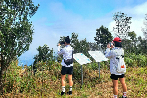 Trekkingtur i Bach Ma nationalpark från Hue/Da Nang/Hoi AnFrån Hoi An / Da Nang - Liten grupp