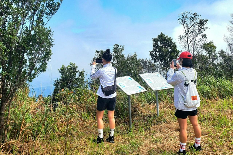 Trekkingtur i Bach Ma nationalpark från Hue/Da Nang/Hoi AnFrån Hoi An / Da Nang - Liten grupp