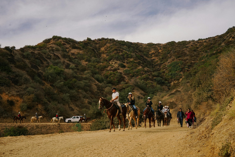 Cave Creek: Horse Ride Tour in National Forest & Desert 1.5-Hours Horse Ride Tour in National Forest & Desert