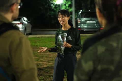 Singapore: Night Mangrove Wildlife Walk - Image 3