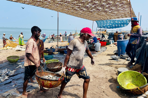 Negombo City Tour with Local Guide, Pickup & Ticket Included Negombo City Tour By Tuk-Tuk with Local Guide