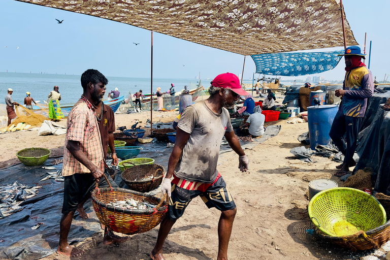Negombo City Tour with Local Guide, Pickup & Ticket Included Negombo City Tour By Tuk-Tuk with Local Guide