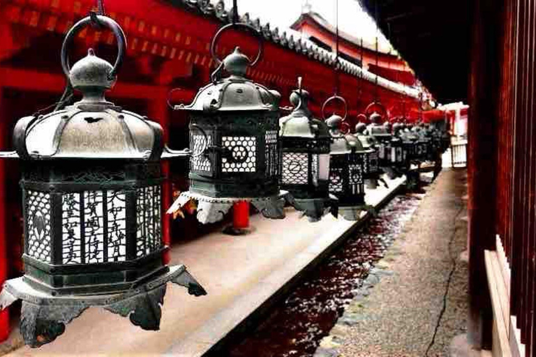 Kyoto: Private Full-Day Tour with Driver & Custom Itinerary