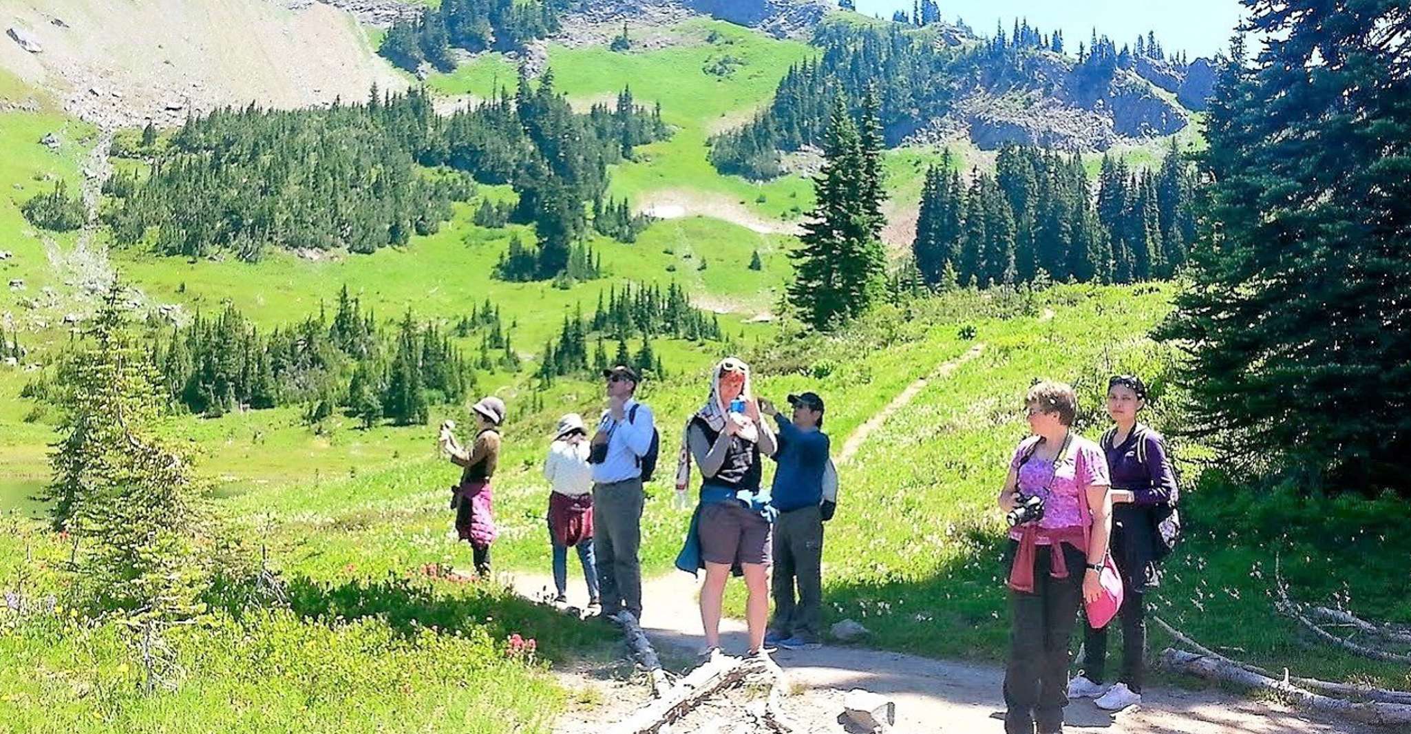Seattle, Mount Rainier Park Visite en petit groupe - Hizvo