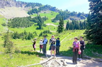 Seattle, Mount Rainier Park Tour todo inclusivo de grupos pequeños - Hizvo