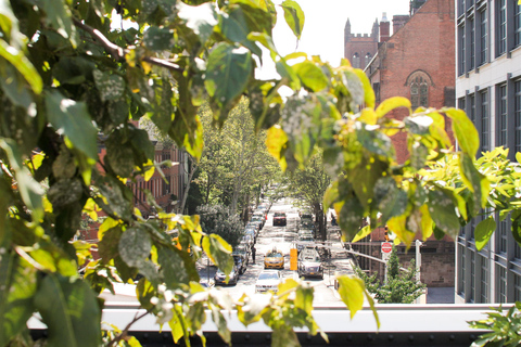 纽约市哈德逊院子和高线之旅，可选边缘门票游船入船票
