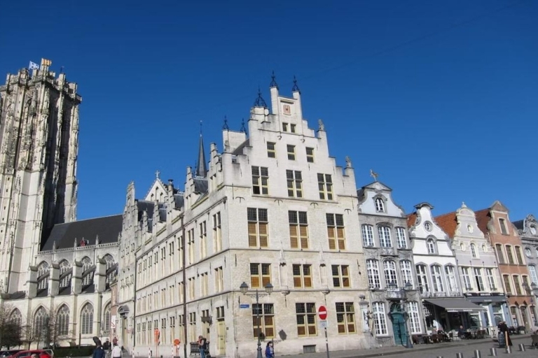 Vanuit Brussel: Dagtrip naar Leuven & MechelenTour in het Engels