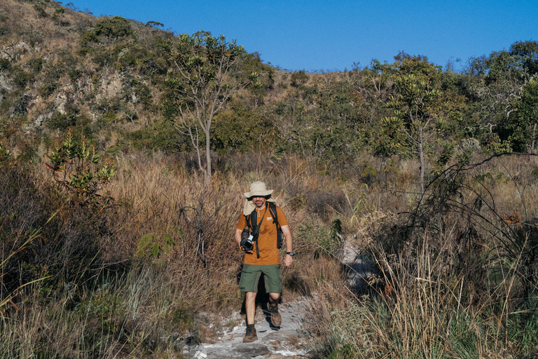 From São Paulo: 5-Day Serra da Canastra Wildlife Safari