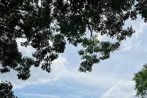 From Kandy: Sigiriya & Dambulla Day Tour with Safari