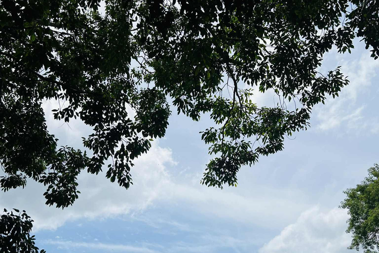 From Kandy: Sigiriya & Dambulla Day Tour with Safari