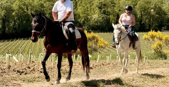 San Gimignano: Horse Riding in the Tuscan Hills