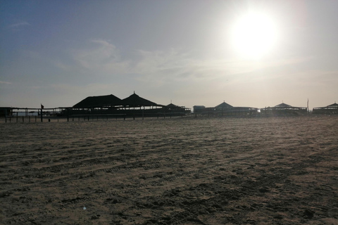 Djerba Pirate Ship tour to the Flamingo island