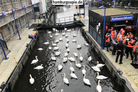 Free tour: Centro Histórico. Tú decides el precio al final
