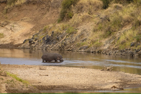 3 days Tsavo East & Tsavo West Safari from Diani/Mombasa