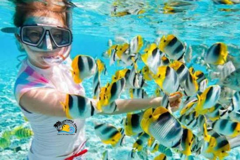 Zanzibar : Lagon Bleu, Étoiles de Mer et Tortues dans la Grotte de SalaamTransfert depuis n'importe quel hôtel à Zanzibar