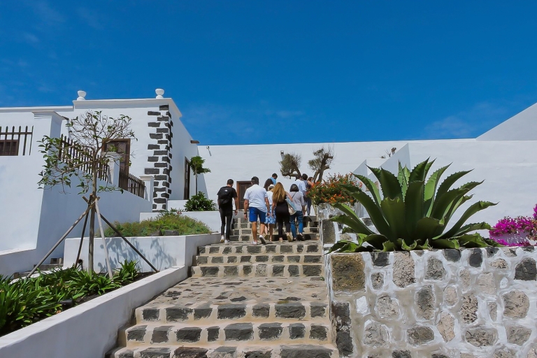 Lanzarote : visite du vignoble avec dégustation de vin et de chocolatVisite en espagnol