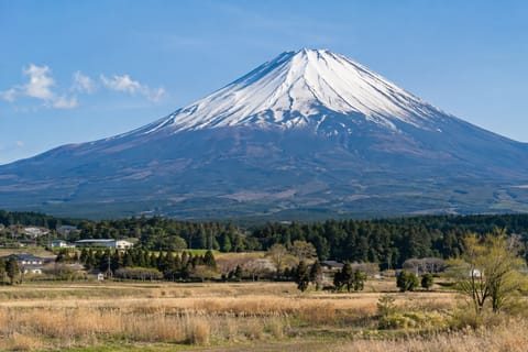 From Tokyo: Fuji Whisky Distillery Flexible Itinerary