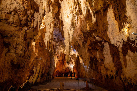 Auckland: Hobbiton, Waitomo Caves, and Rotorua 1-Way Tour