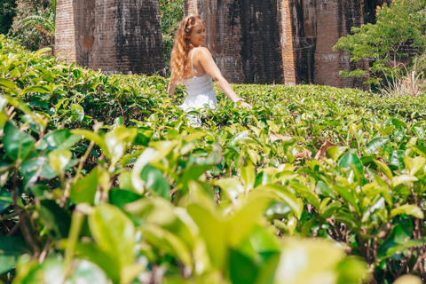 Kandy to Yala Transfer With Hidden Stops & Spice Garden