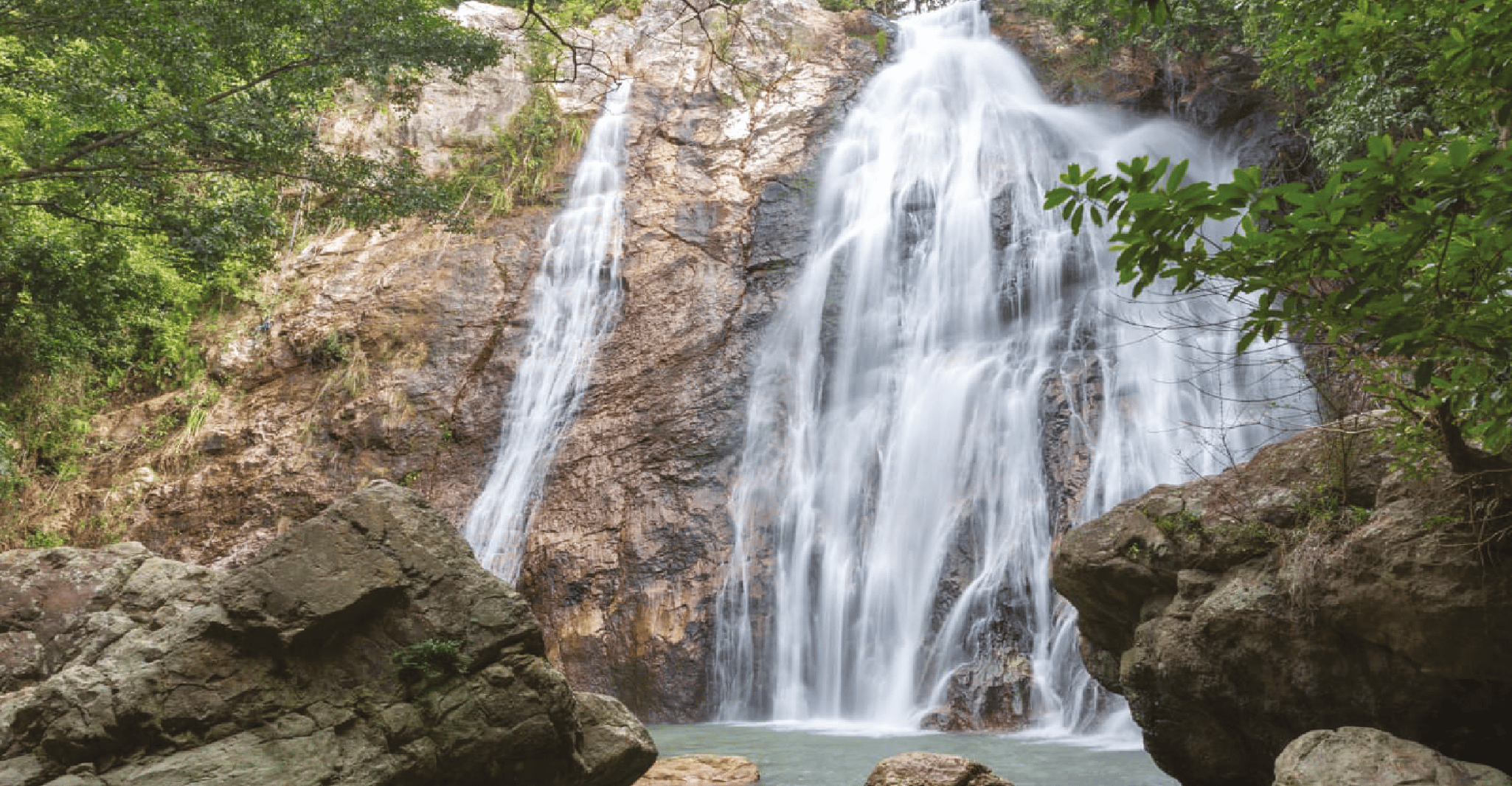 Koh Samui、Elephant Sanctuary、Jungle Tour with Lunch - Hizvo
